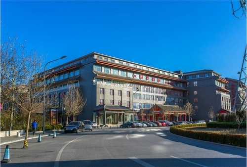 黑龙江黄花菜零售价