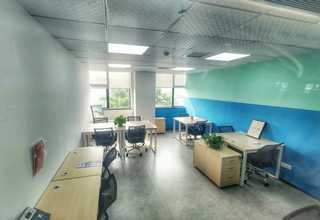 山西新型辣椒设备公司