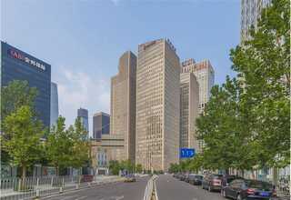 南宫市粗毛毛毡有哪些